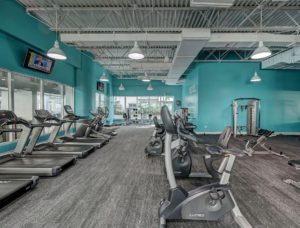 Large gym room with aqua walls and gray carpet. Three rows of exercise machines are visible: treadmills and steppers on the left, bicycles in the middle, and edges of free-weight machines on the right.
