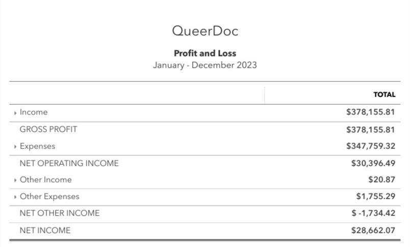 QueerDoc's 2023 Profit and Loss statement showing a net income of $238,662.07. | Financial transparency.