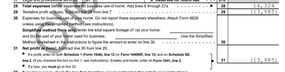 Screenshot of QueerDoc's tax return from 2018 showing a $13,985 loss. | QueerDoc Financial Transparency
