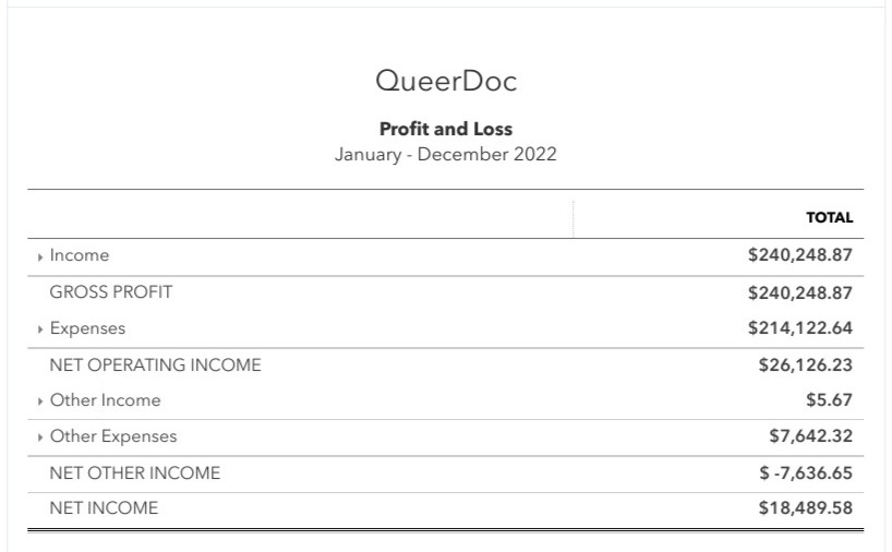 QueerDoc's 2022 Profit and Loss statement showing net income of $18,489.58. | Financial transparency.