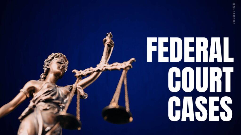 A bronze statue of Justice, who appears as a person with braided hair, a blindfold, and draped robes, holding the scales of justice arises from the left bottom corner. The right corner has text in block white font reading "Federal Court Cases". The background is dark blue shading to navy in the center. | Queerdoc Legal Challenges