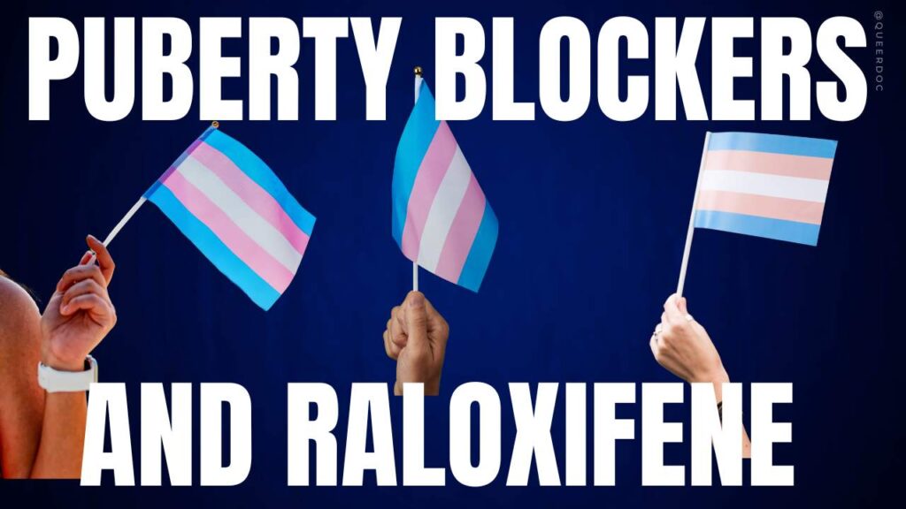 The text "Puberty Blockers and Raloxifene" are in white all caps against a gradient royal blue to midnight blue background.  Three hands across the image are holding small trans pride flags. On the left, brown-skinned shoulder and hand, with a white wrist band holds the flag angled into the middle of the image. In the middle, a brown-skinned  hand holds the flag upright.  On the right, a lighter skinned hand holds the flag leaning slightly to the right edge of the image. | QueerDoc Raloxifene 