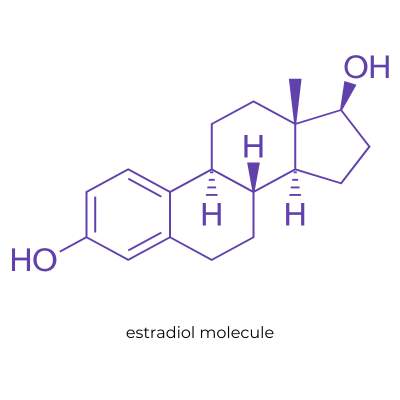 Line drawing in purple of an estradiol molecule. | QueerDoc hormonal transitions