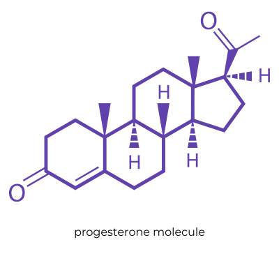 Line drawing in purple of a progesterone molecule. | QueerDoc hormonal transitions