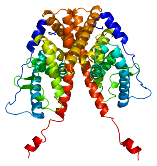 Estrogen Receptors - Alpha